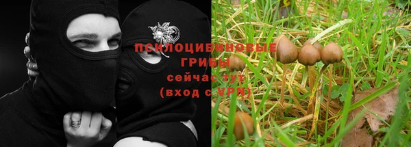 метадон Нея
