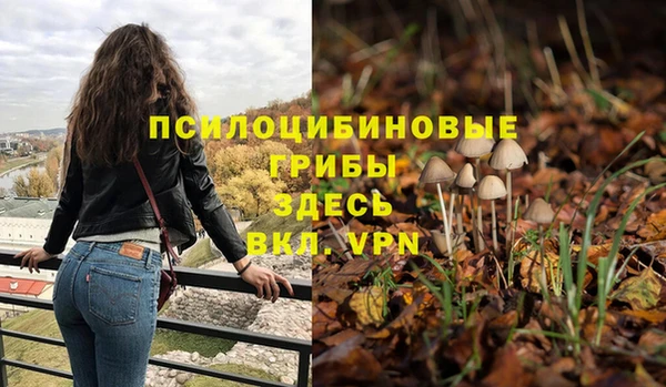 кристаллы Абаза